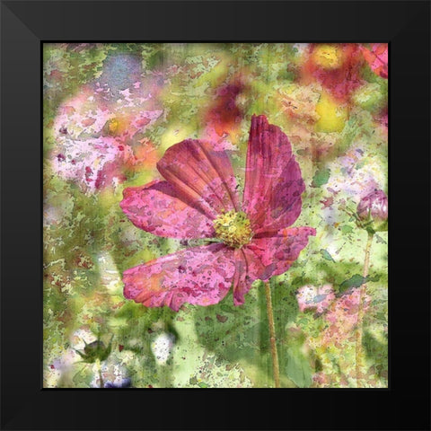 Wildflower Square 2 Black Modern Wood Framed Art Print by Kimberly, Allen