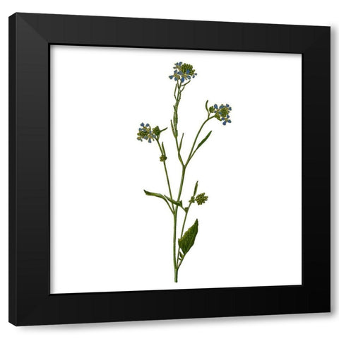 Family Gathers 5 Black Modern Wood Framed Art Print by Kimberly, Allen