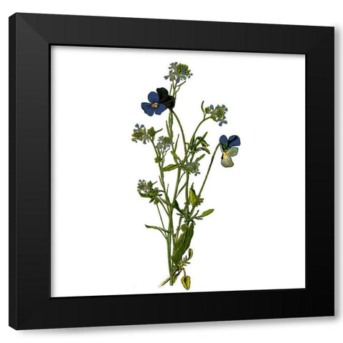 Family Gathers 6 Black Modern Wood Framed Art Print by Kimberly, Allen