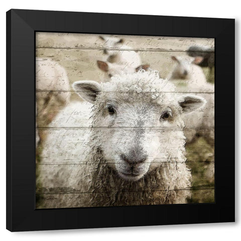 Farm Life 1 Black Modern Wood Framed Art Print by Kimberly, Allen