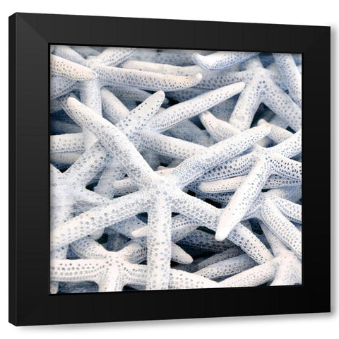 Starfish Beach 3 V3 Black Modern Wood Framed Art Print with Double Matting by Allen, Kimberly