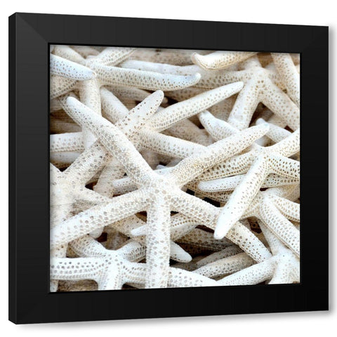 Starfish Beach 3 v2 Black Modern Wood Framed Art Print by Kimberly, Allen