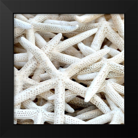 Starfish Beach 3 v2 Black Modern Wood Framed Art Print by Kimberly, Allen