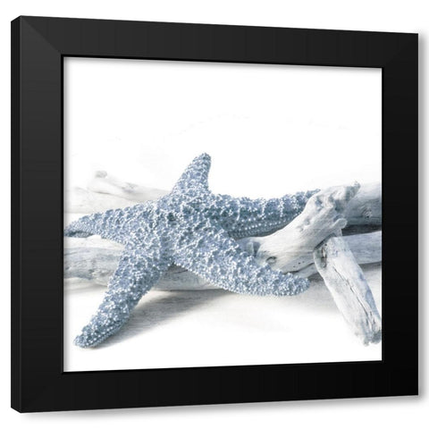 Starfish Beach 4 V3 Black Modern Wood Framed Art Print with Double Matting by Allen, Kimberly