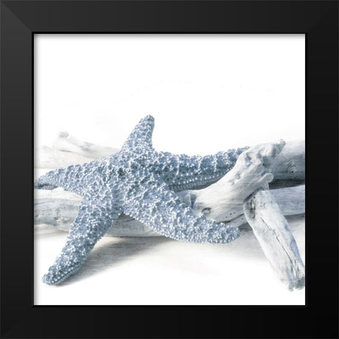 Starfish Beach 4 V3 Black Modern Wood Framed Art Print by Allen, Kimberly