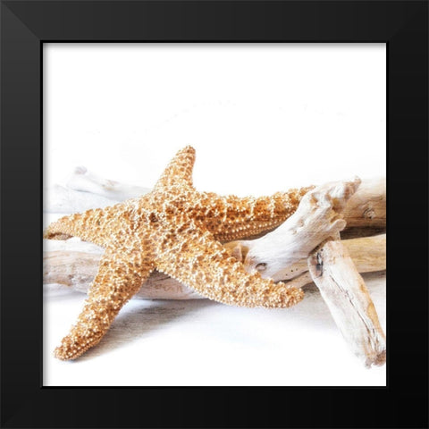 Starfish Beach 4 v2 Black Modern Wood Framed Art Print by Kimberly, Allen