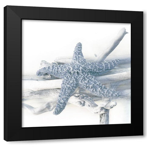 Starfish Beach 5 V3 Black Modern Wood Framed Art Print with Double Matting by Allen, Kimberly