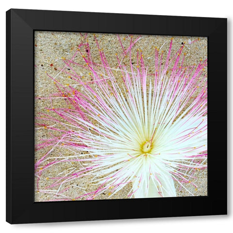 Beach Daze 5 Black Modern Wood Framed Art Print with Double Matting by Kimberly, Allen