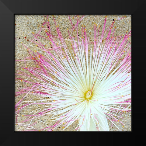 Beach Daze 5 Black Modern Wood Framed Art Print by Kimberly, Allen