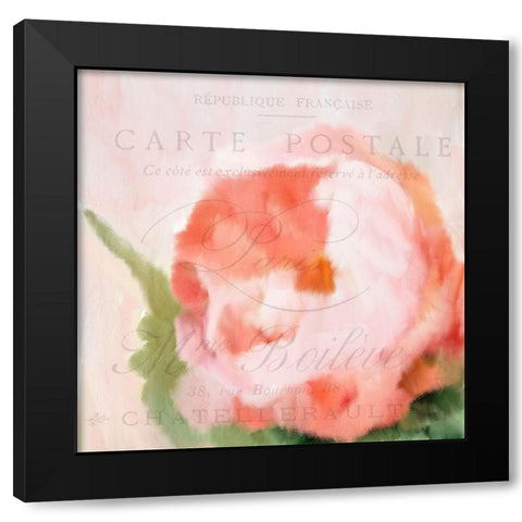 Pink Peony Black Modern Wood Framed Art Print with Double Matting by Kimberly, Allen