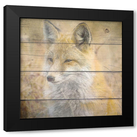 Woodland 2 Black Modern Wood Framed Art Print by Kimberly, Allen