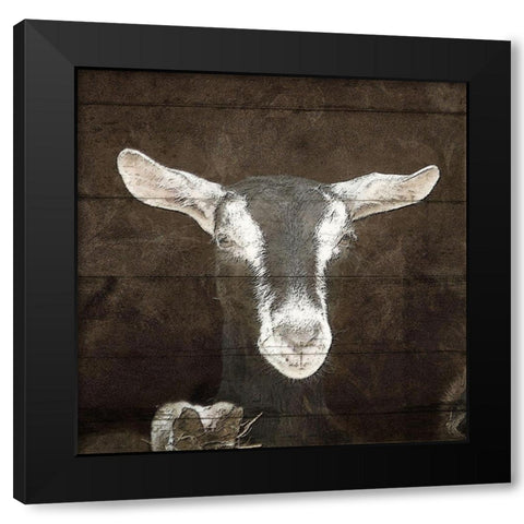 Farm Life 4 Black Modern Wood Framed Art Print with Double Matting by Kimberly, Allen