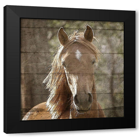 Farm Life 6 Black Modern Wood Framed Art Print with Double Matting by Kimberly, Allen