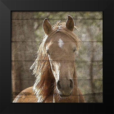 Farm Life 6 Black Modern Wood Framed Art Print by Kimberly, Allen