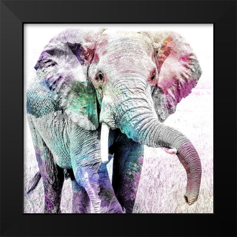 Elephant Colors Black Modern Wood Framed Art Print by Kimberly, Allen