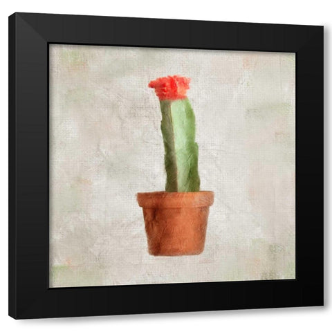 Potted Life 1 Black Modern Wood Framed Art Print with Double Matting by Allen, Kimberly