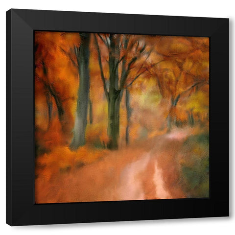 Autumn Road Black Modern Wood Framed Art Print by Kimberly, Allen
