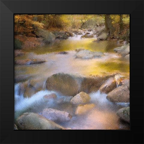 River Run Black Modern Wood Framed Art Print by Kimberly, Allen