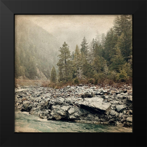 Wander Forest Black Modern Wood Framed Art Print by Kimberly, Allen