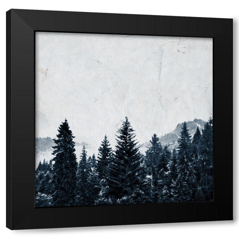 Wander Woods Black Modern Wood Framed Art Print with Double Matting by Kimberly, Allen