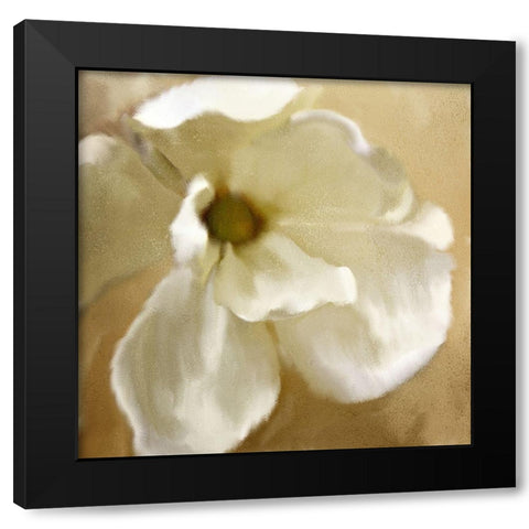Magnolia Bloom Black Modern Wood Framed Art Print by Kimberly, Allen