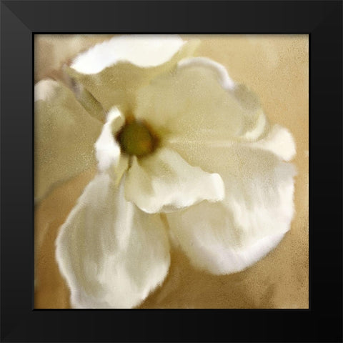 Magnolia Bloom Black Modern Wood Framed Art Print by Kimberly, Allen