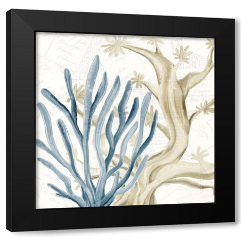 Coral Square 1 Black Modern Wood Framed Art Print with Double Matting by Kimberly, Allen