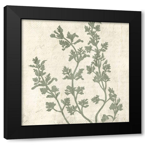 Sage 1 Black Modern Wood Framed Art Print with Double Matting by Kimberly, Allen