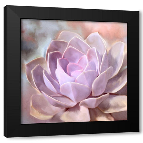 Painted Succulent 1 Black Modern Wood Framed Art Print by Kimberly, Allen