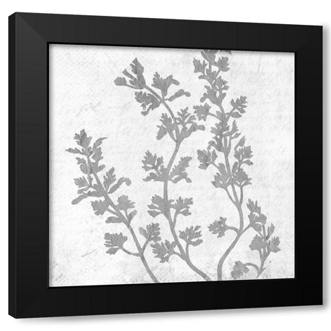Branches 2 Black Modern Wood Framed Art Print with Double Matting by Kimberly, Allen