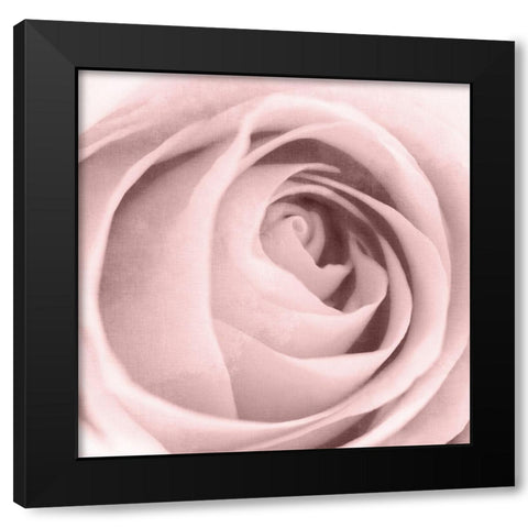 Rose Center 2 Black Modern Wood Framed Art Print by Kimberly, Allen
