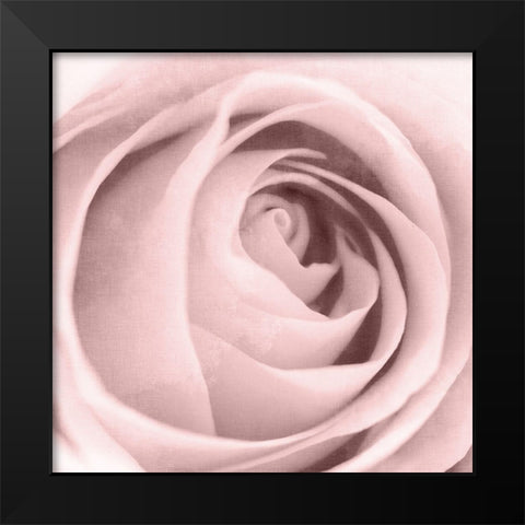 Rose Center 2 Black Modern Wood Framed Art Print by Kimberly, Allen