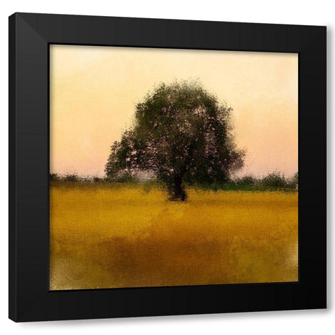 Evening Sky Black Modern Wood Framed Art Print with Double Matting by Kimberly, Allen