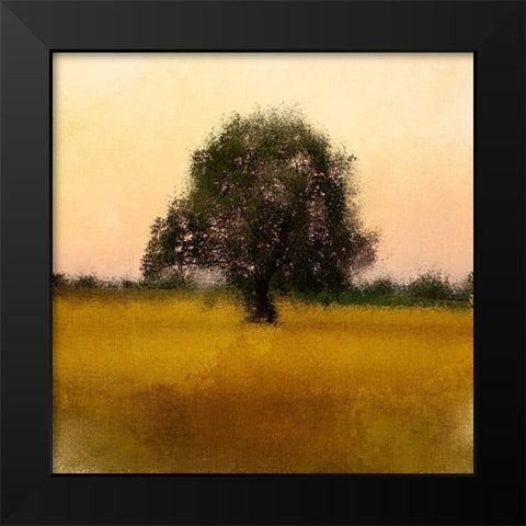 Evening Sky Black Modern Wood Framed Art Print by Kimberly, Allen