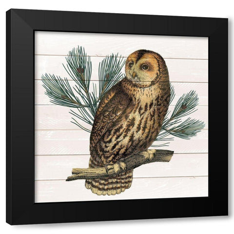 Owl 1 Black Modern Wood Framed Art Print by Kimberly, Allen