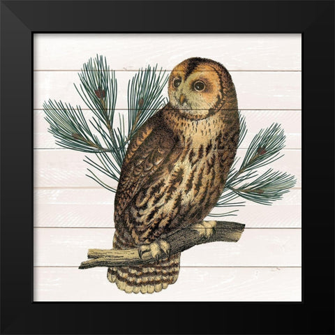 Owl 1 Black Modern Wood Framed Art Print by Kimberly, Allen