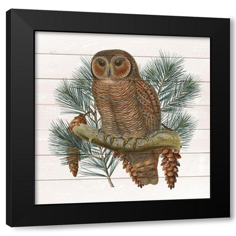 Owl 2 Black Modern Wood Framed Art Print by Kimberly, Allen