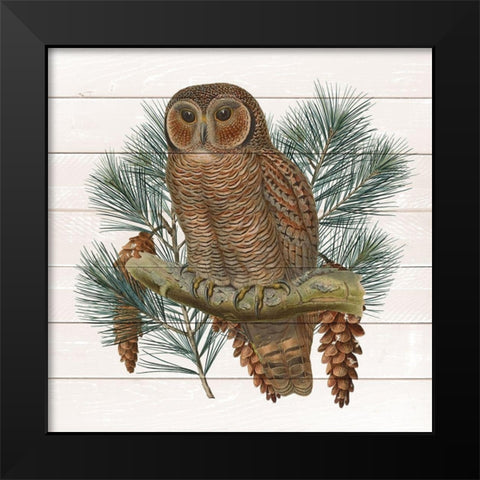 Owl 2 Black Modern Wood Framed Art Print by Kimberly, Allen