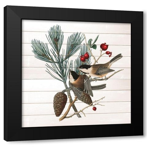 Winter Bird 1 Black Modern Wood Framed Art Print with Double Matting by Kimberly, Allen