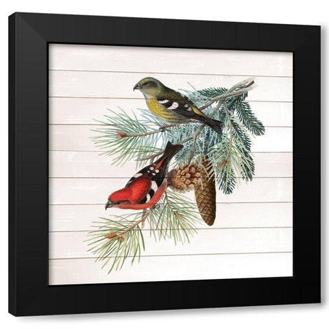 Winter Bird 2 Black Modern Wood Framed Art Print with Double Matting by Kimberly, Allen