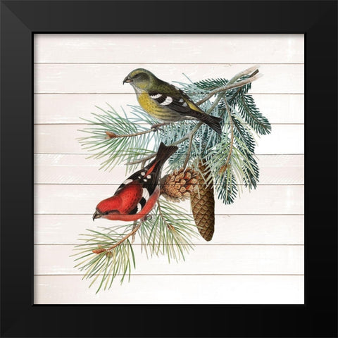 Winter Bird 2 Black Modern Wood Framed Art Print by Kimberly, Allen