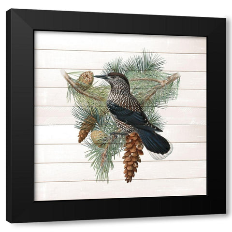 Winter Bird 3 Black Modern Wood Framed Art Print with Double Matting by Kimberly, Allen