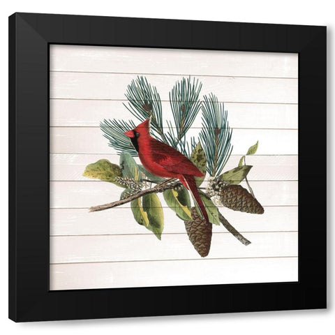 Winter Bird 4 Black Modern Wood Framed Art Print by Kimberly, Allen