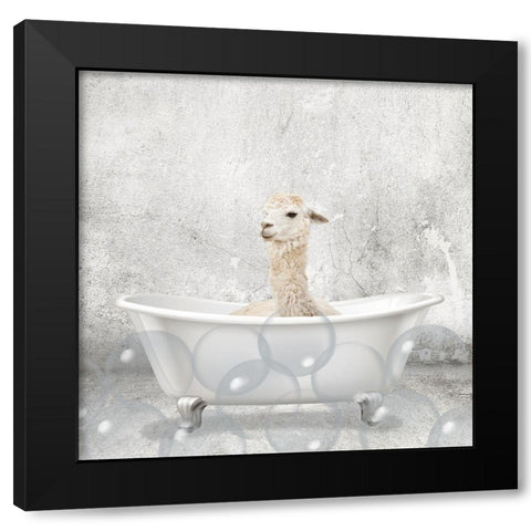 Baby Llama Bath Black Modern Wood Framed Art Print by Kimberly, Allen