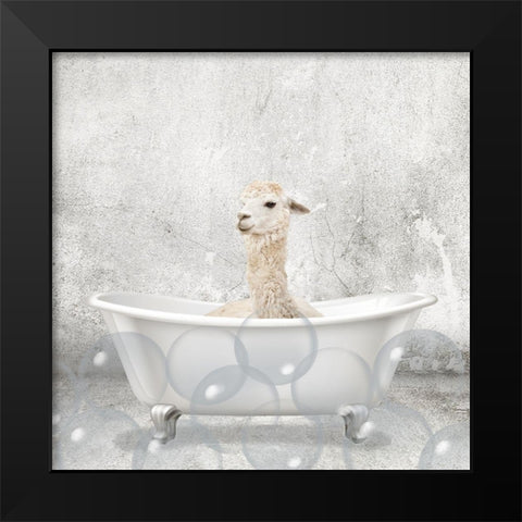 Baby Llama Bath Black Modern Wood Framed Art Print by Kimberly, Allen