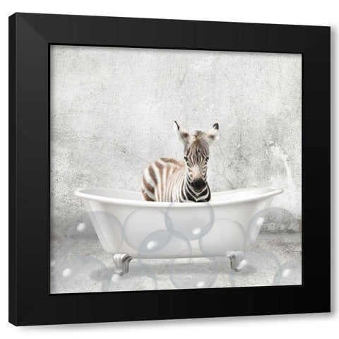 Baby Zebra Bath Black Modern Wood Framed Art Print by Kimberly, Allen