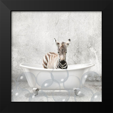 Baby Zebra Bath Black Modern Wood Framed Art Print by Kimberly, Allen