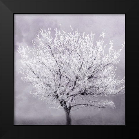 Frosted Tree Black Modern Wood Framed Art Print by Kimberly, Allen