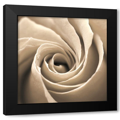 Paris Cafe 2 Black Modern Wood Framed Art Print with Double Matting by Kimberly, Allen