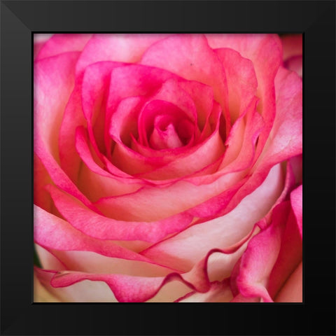 A Good Idea 3 Black Modern Wood Framed Art Print by Kimberly, Allen